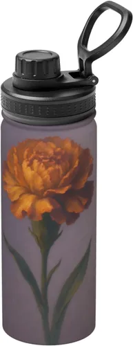 Vista 18 de Colorful Clouds Printed Insulated Water Bottle, 18oz Stainless Steel Funny Travel Mug, Leakproof Hot & Cold for Sports, Gym, Hiking
