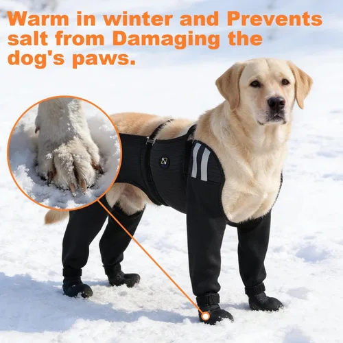 Vista 7 de COODEO Calcetines para perros para las 4 patas, impermeables, antideslizantes, fáciles de usar, protección de patas, duraderos y cálidos