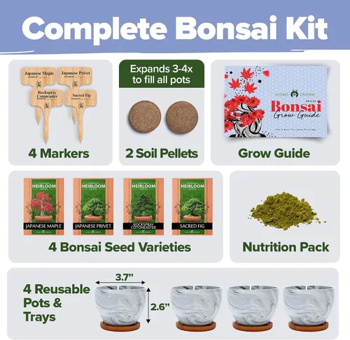 Vista 2 de HOME GROWN Kit de Árbol Bonsái – Juego Inicial Premium de Cerámica con 4 Variedades de Bonsái – Fácil Regalo de Jardinería Interior para Hombres