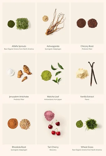 Vista 6 de ProMix Nutrition Mezcla de superalimentos crudos de verduras - Alfalfa germinada, pasto de trigo, Ashwagandha y Rhodiola - 30 porciones