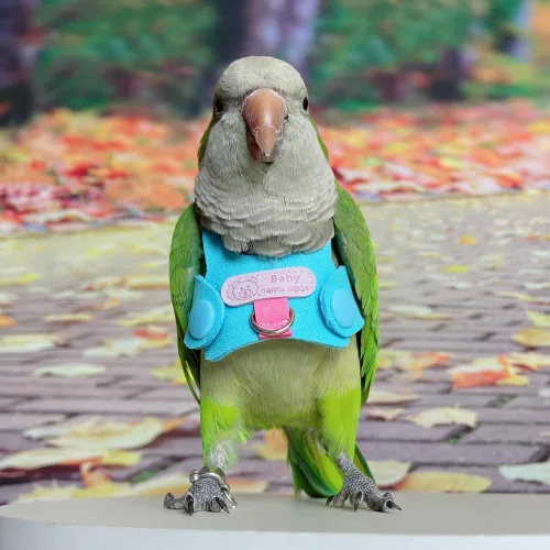 Vista 2 de Chaleco de arnés de vuelo de pájaro, traje de vuelo de loro con correa para periquitos, cacatúas, conures budgies, ropa de vuelo de pájaros