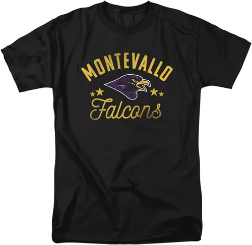 Vista 45 de Collegiate Distressed Mascot Unisex Adult T Shirt Collection 3 Universidad de Adelphi