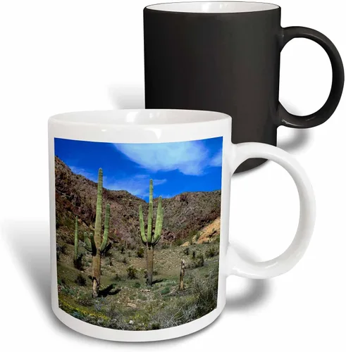 Vista 10 de 3dRose USA, Arizona, Ajo, Saguaro cacti - US03 PHA0020 - Peter Hawkins 11oz Two-Tone Black Mug