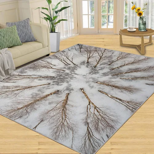 Vista 30 de Desert Dunes Rugs for Bedroom, Desert Landscape Area Rug, Natural Scenery Rugs for Living Room, Indoor Non-Slip Rug, Machine Washable Carpet for