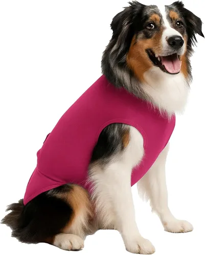 Vista 20 de SurgiSnuggly Traje de Recuperación Quirúrgica Inventado por Veterinarios para Perros Hembra o Macho, Esterilización, Castración, Mameluco, El Traje
