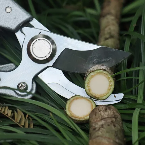 Vista 6 de Garden Shears - Tijeras de podar de mano profesionales, tijeras de podar de derivación resistentes (rojo)