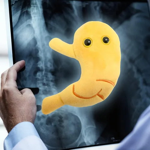 Vista 7 de GIANT MICROBES Felpa de estómago, debe tener bypass gástrico, imprescindible para cirugía bariátrica, regalos de gastroenterología, regalos