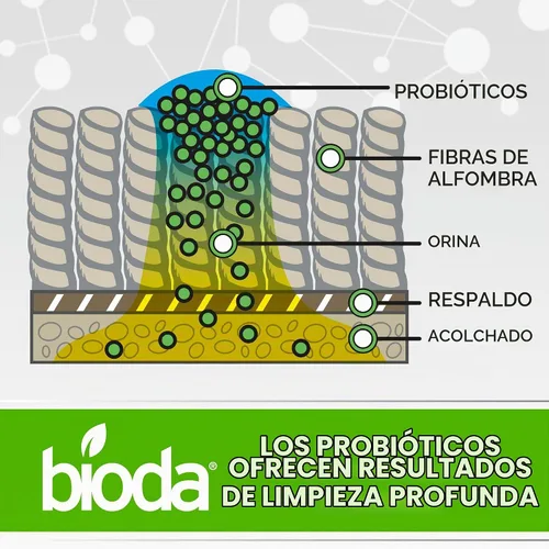 Vista 2 de Bioda Eliminador enzimático de manchas y olores para mascotas, 1 galón