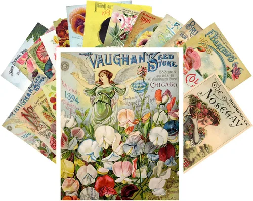 Vista 18 de PIXILUV Johann - Postales vintage (24 unidades), diseño de flores salvajes, jardín, aun vida, arte de pintura de museo antiguo, reimpresión