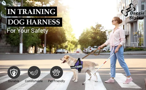 Vista 3 de Chaleco de entrenamiento para perros de servicio, arnés ajustable sin tirones con parches. Chaleco de entrenamiento para perros de servicio