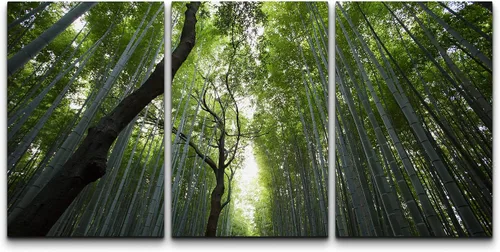 Vista 116 de wall26 Lienzo enmarcado para pared, juego de arte debajo de los tallos de bambú verde, naturaleza, desierto, fotografía, realismo, contemporáneo