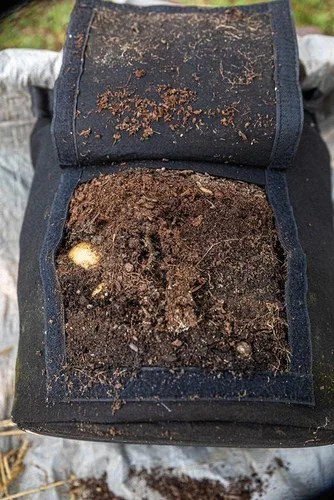 Vista 8 de Gardzen Paquete de 6 bolsas de cultivo de verduras sin BPA de 10 galones con solapa de acceso y asas, adecuadas para plantar papas, taro