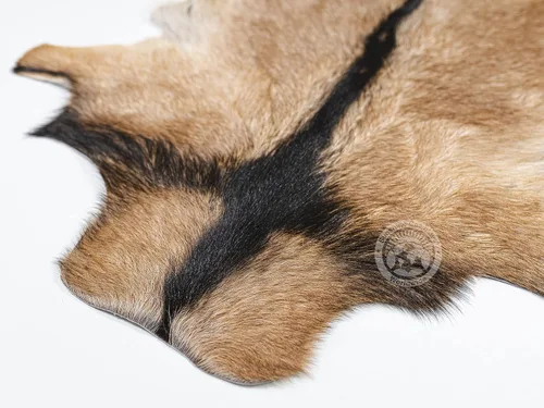 Vista 3 de Sunshine Cowhides Alfombra de piel de cabra 100% auténtica, exótica, de gamuza natural, para sala de estar, dormitorio y oficina, alfombra de piel