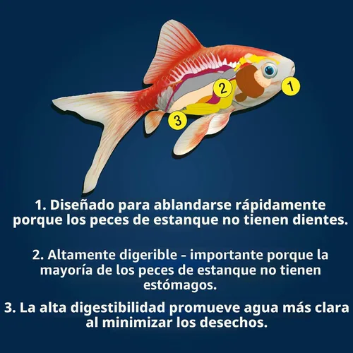 Vista 8 de Palos de estanque TetraPond, alimento para peces de estanque, para peces dorados y Koi, 1.72 libras Healthy Daily Diet For All Pond Fish, Easy To