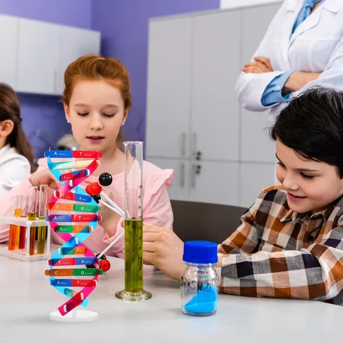 Vista 7 de NUOBESTY Kit de modelo de ADN, modelo de estructura de doble hélice, 13 pulgadas para ensamblar ayuda docente de biología con soporte