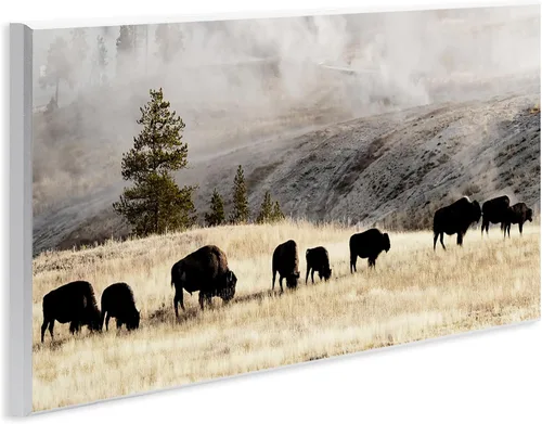 Vista 2 de Stupell Industries 'Pastoreo Bisonte Foggy Countryside' Arte de placa de pared Stupell Industries 17 x 7 Inches, Easy to Hang and Sturdy, Made in