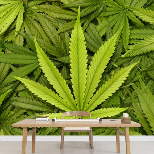 Vista 50 de wall26 serie Wall Mural Papel de empapelar autoadhesivo, grande., WMR-WP-X-D986-66x24x4