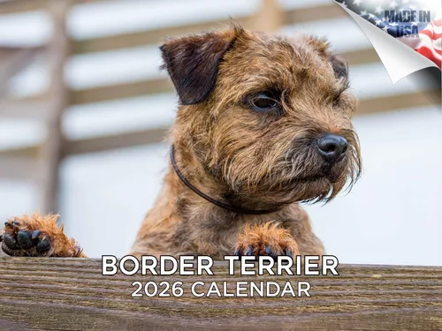 Vista 219 de Calendario de Lebrel Afgano 2025 2026, calendario mensual de pared de raza canina, 12" x 18" abierto, papel grueso sin traspaso, ideal para regalo