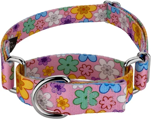 Vista 7 de Country Brook Petz - Collar de perro Martingale, collar de entrenamiento resistente, colección floral vibrante con diseños encantadores, campos