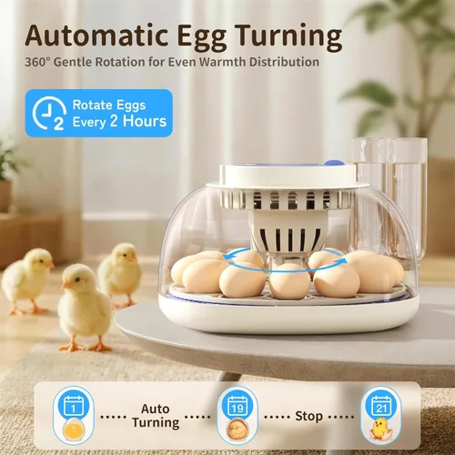 Vista 4 de Incubadora de 12 huevos con pantalla de temperatura y humedad, giro automático de huevos, vela de huevos, recarga automática de agua, para huevos