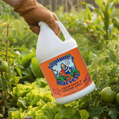 Vista 4 de Neptune's Harvest Fertilizante líquido multiusos orgánico de cangrejo y langosta (2-0-2) - Botella de 1 galón - Fertilizante de suelo rico