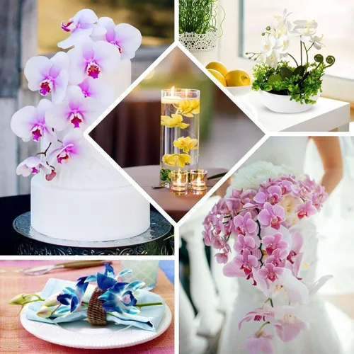 Vista 5 de Efavormart - Paquete de 20 cabezas de orquídea de seda blanca de 4 pulgadas, flores realistas de orquídea sintética para manualidades de boda