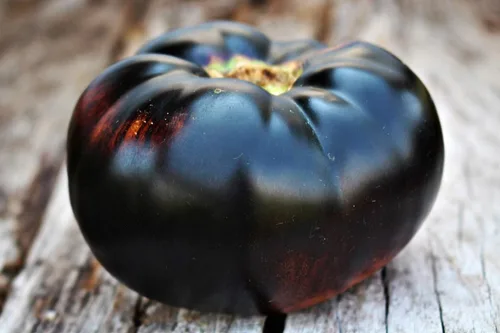 Vista 3 de Semillas de tomate negro raras para plantar alrededor de 20 semillas