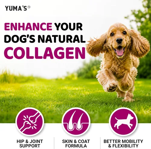 Vista 6 de Colágeno avanzado para perros - 170 masticables - Péptidos de suplemento Masticables de colágeno