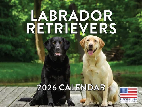 Vista 62 de Calendario mensual de pared Airedale Terrier Dog 2027