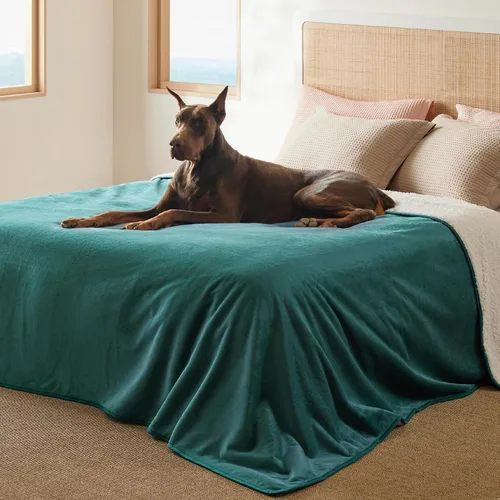 Vista 12 de Bedsure - Mantas impermeables para perros pequeños - Manta de felpa de sherpa con impresión suave lavable para perros y gatos, protector de muebles