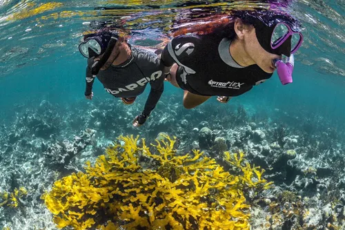 Vista 2 de SCUBAPRO Spectra Snorkel