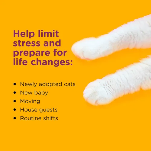 Vista 3 de Comfort Zone Kit de inicio de 30 días: 1 difusor calmante para gatos y 1 recarga; las feromonas para gatos ayudan a la ansiedad; reducen el estrés