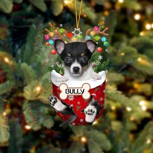 Vista 144 de IZI POD Affenpinscher Adorno de Navidad personalizado para perro, adorno de bolsillo de nieve para perro para árbol de Navidad, adorno acrílico
