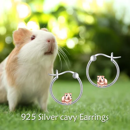 Vista 55 de VONALA Bonitos aretes de aro de plata de ley 925, regalos de cumpleaños para mujer