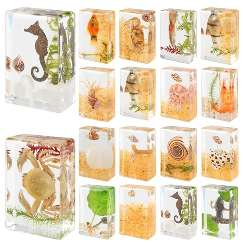 Vista 10 de 16 piezas de insectos mariposa en espécimen de resina, colección de bichos, pisapapeles, 16 estilos de espécimen real de bichos, kit de bichos