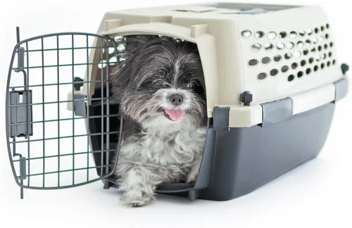 Vista 5 de Petmate Vari - Perrera/Transportadora para perros portátil apto para aerolíneas y jaulas para perros pequeños, plástico duradero, transportador