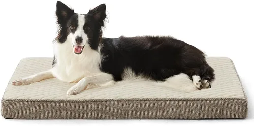 Vista 19 de JOEJOY Cama ortopédica para perros extra grandes