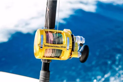 Vista 5 de Penn International VI - Carretes de pesca convencionales (todos los modelos y tamaños)