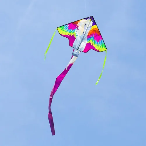 Vista 5 de HQ Cometas y diseños Simple Flyer Pegasus Kite 47 pulgadas Juego activo para edades de 5 a 11 años
