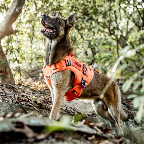 Vista 2 de OneTigris FIRE Watcher 2.0 Arnés Anti-tirones para Perro con Asa - Chaleco de Perro de Servicio Ajustable para Perros Grandes y Medianos (S, Naranja)