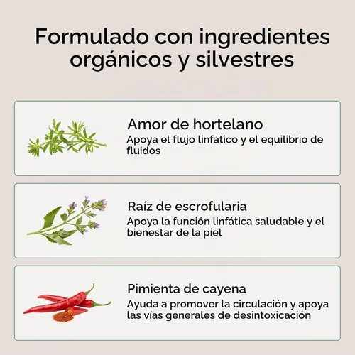 Vista 3 de Zuma Nutrition Tónico de drenaje linfático transparente linfático