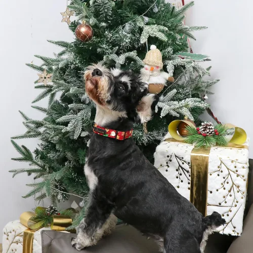 Vista 4 de Aring Pet Collar navideño para perro, lindo, ajustable, de algodón, para cachorros, perros pequeños, medianos y grandes, rojo, Papá Noel, unisex Z