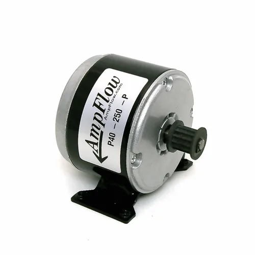 Vista 4 de P40 250 motor eléctrico con escobillas, 250 W, 12 V, 24 V o 36 VDC, 3400 RPM
