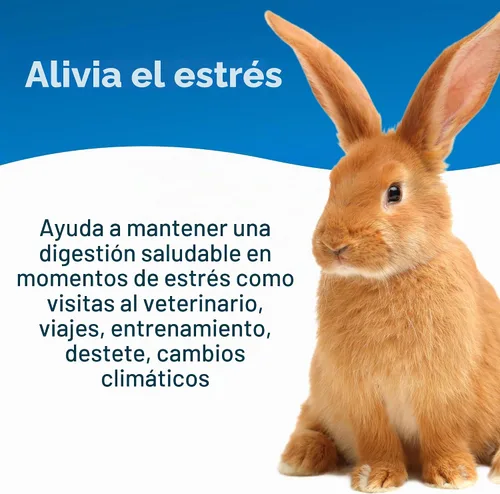 Vista 5 de PetAg Bene-Bac® Plus Pet Gel, FOS Prebiótico y Probiótico 15 gm.
