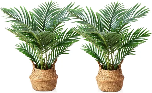 Vista 7 de LOMANTO Planta de palma falsa Majesty, plantas artificiales de 2 pies
