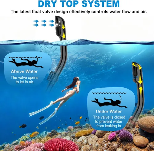Vista 7 de Equipo de esnórquel para adultos, conjunto de esnórquel máscara de buceo con tubo seco superior, gafas de natación para adultos con cubierta nasal