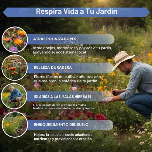 Vista 5 de Organo Republic Mezcla de 16 semillas de flores silvestres perennes para interiores y exteriores, más de 25,000 semillas de jardín de flores