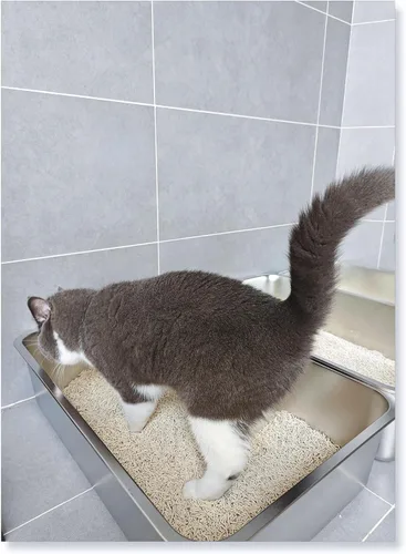 Vista 2 de IKITCHEN Caja de arena de acero inoxidable para gatos, bandeja de arena de metal grande para gatos, caja de arena para gatos nunca absorbe olores