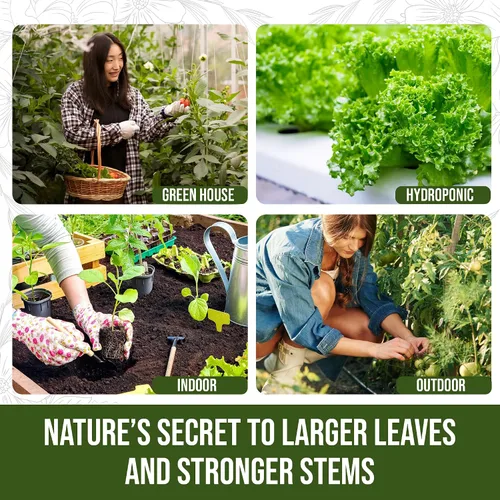Vista 4 de PlantVantage Fertilizante líquido para plantas de crecimiento prémium - Fertilizante NPK (8-16-8) con zinc y hierro, alimento líquido para plantas