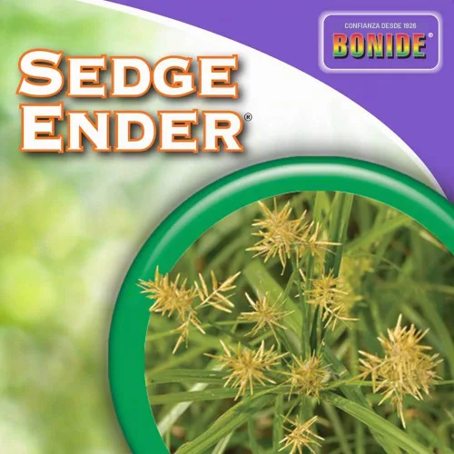 Vista 7 de Bonide Products 069, exterminador de césped salvaje, juncos y malezas de 16 onzas Fórmula de acción rápida y resistente a la lluvia, amigable